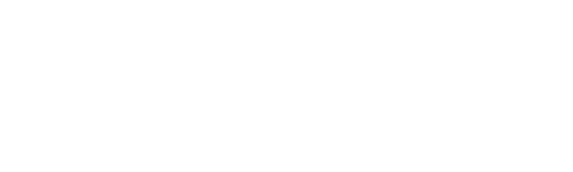 Netiqo